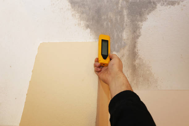 Best Crawl Space Mold Remediation  in Montague, CA