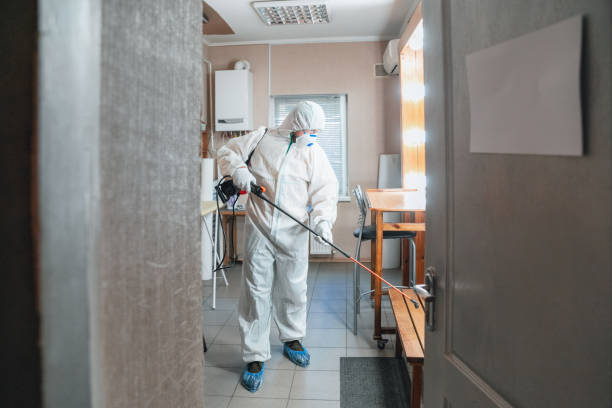 Best Commercial Mold Inspection  in Montague, CA