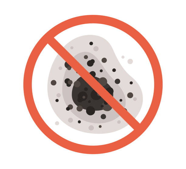 Best Mold Documentation for Insurance Claims  in Montague, CA