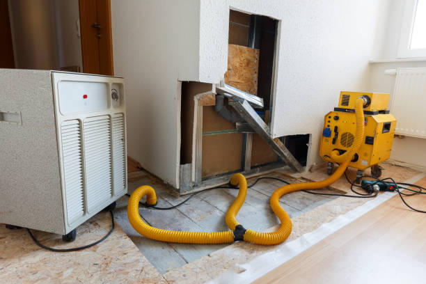 Best Attic Mold Removal  in Montague, CA
