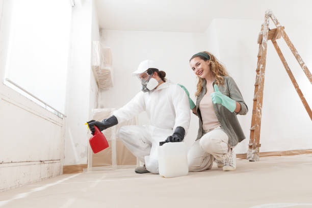 Best Mold Odor Removal Services  in Montague, CA