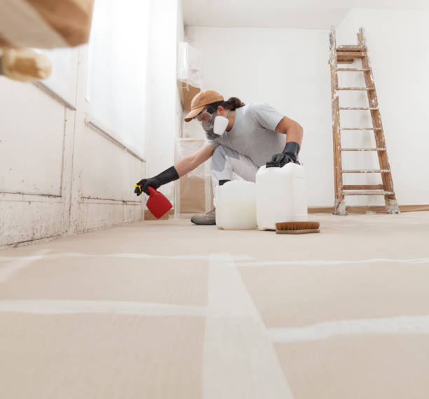 Best Mold Removal for HVAC Installations  in Montague, CA